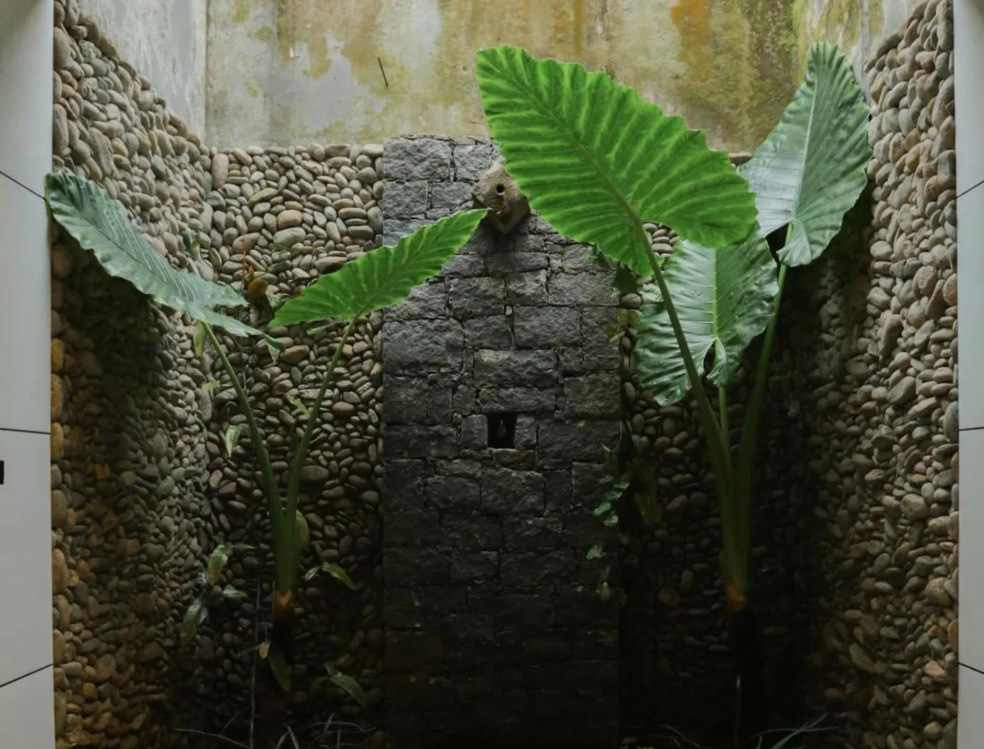 Aramb Boutique Resort Meppādi